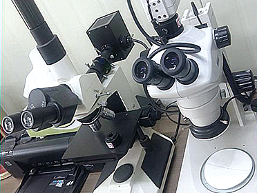 Metallic microscope (800X)